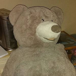 Big teddy bear